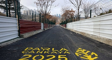 Çankaya Belediyesi Barınak Kapasitesini 1.500’e Çıkardı