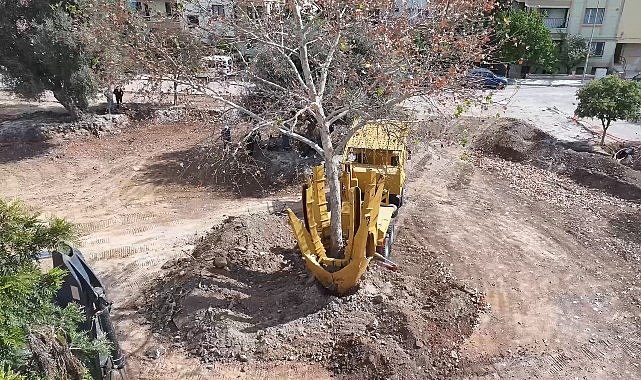 Başkan Hatice Gençay: “Yeşil Alanlarımızı Gelecek İçin Koruyoruz”